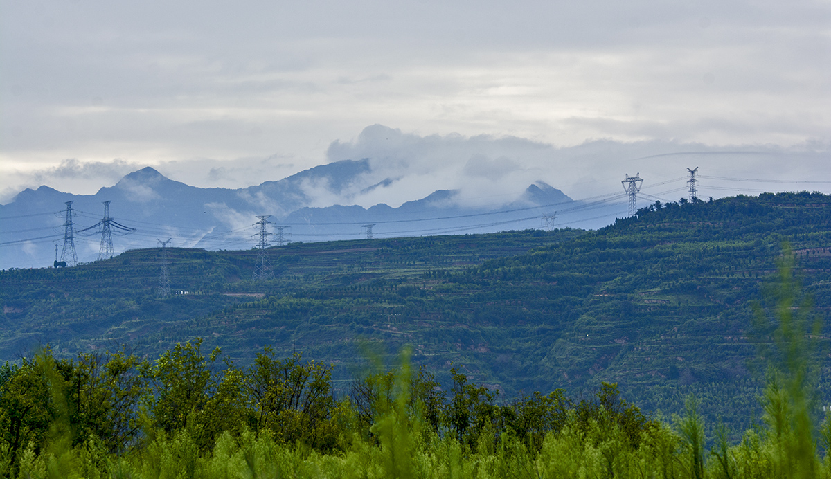 DSC_0517.jpg