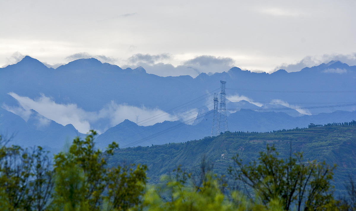 DSC_0513.jpg