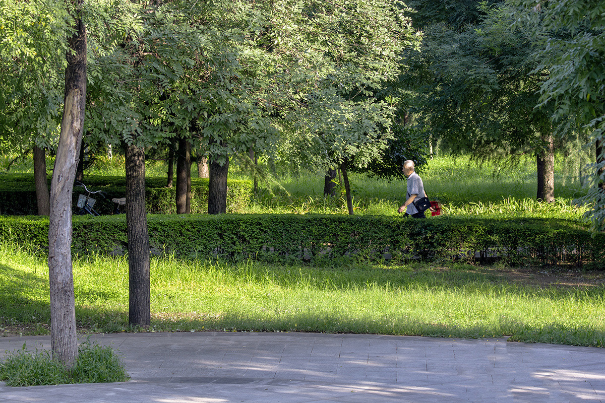 DSC_0981.jpg