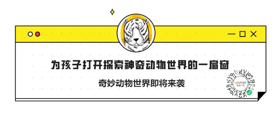 174301xme3hkjjp3rkpa4m.jpg