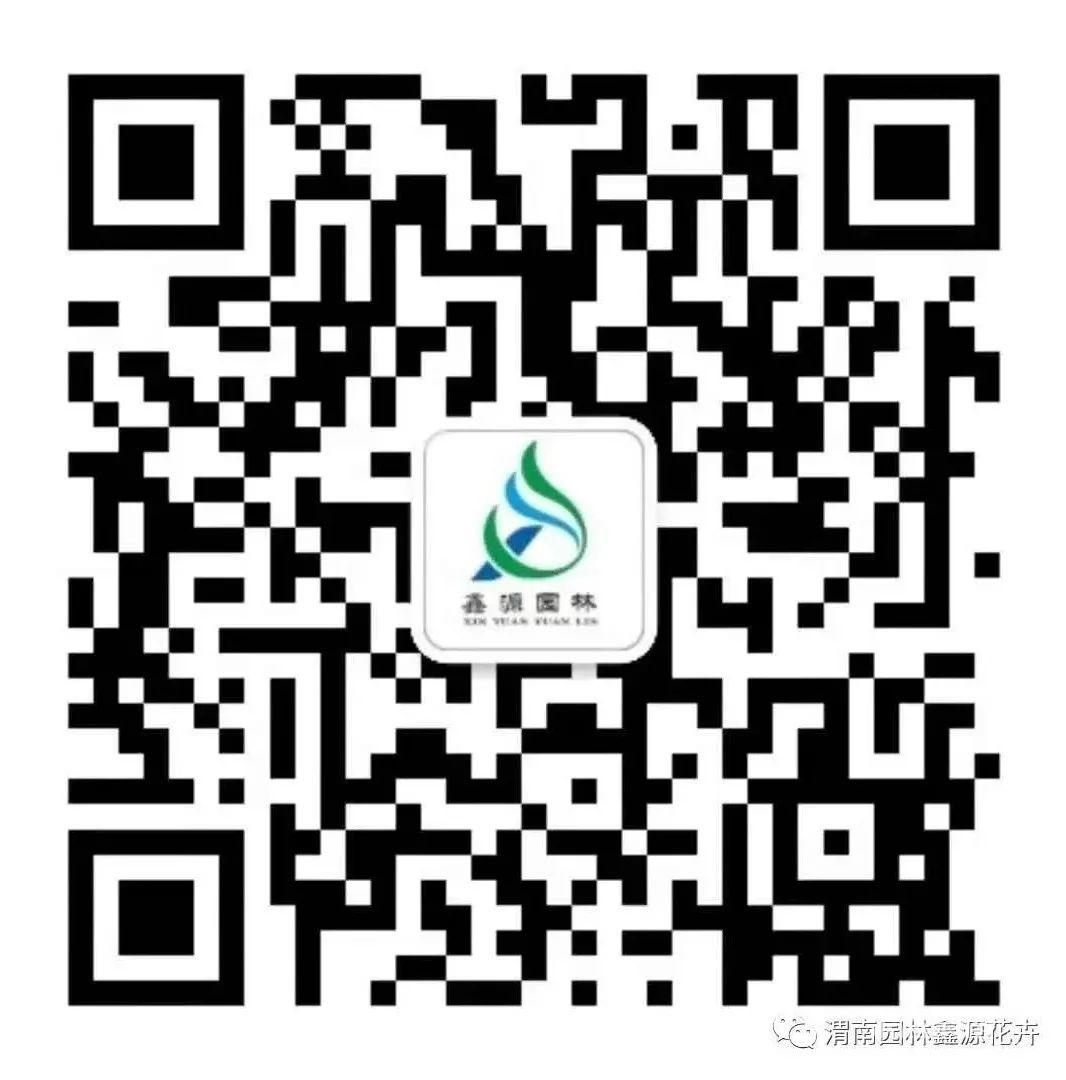 144031hcuukqujcf70fvgn.jpg