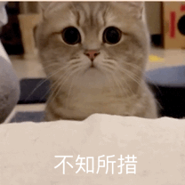 172412tyy4pyhyy37ju4ee.jpg