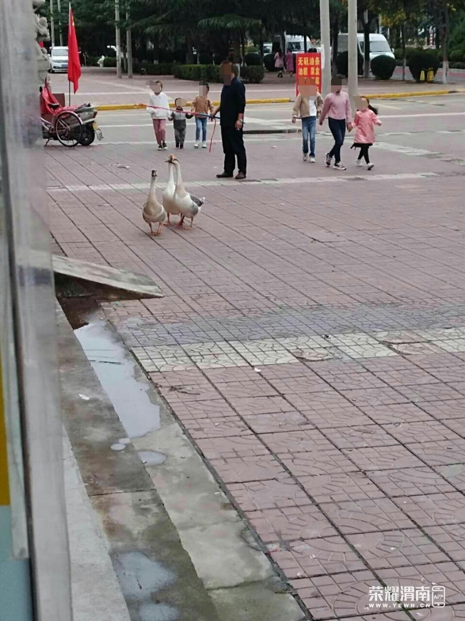 ���.jpg