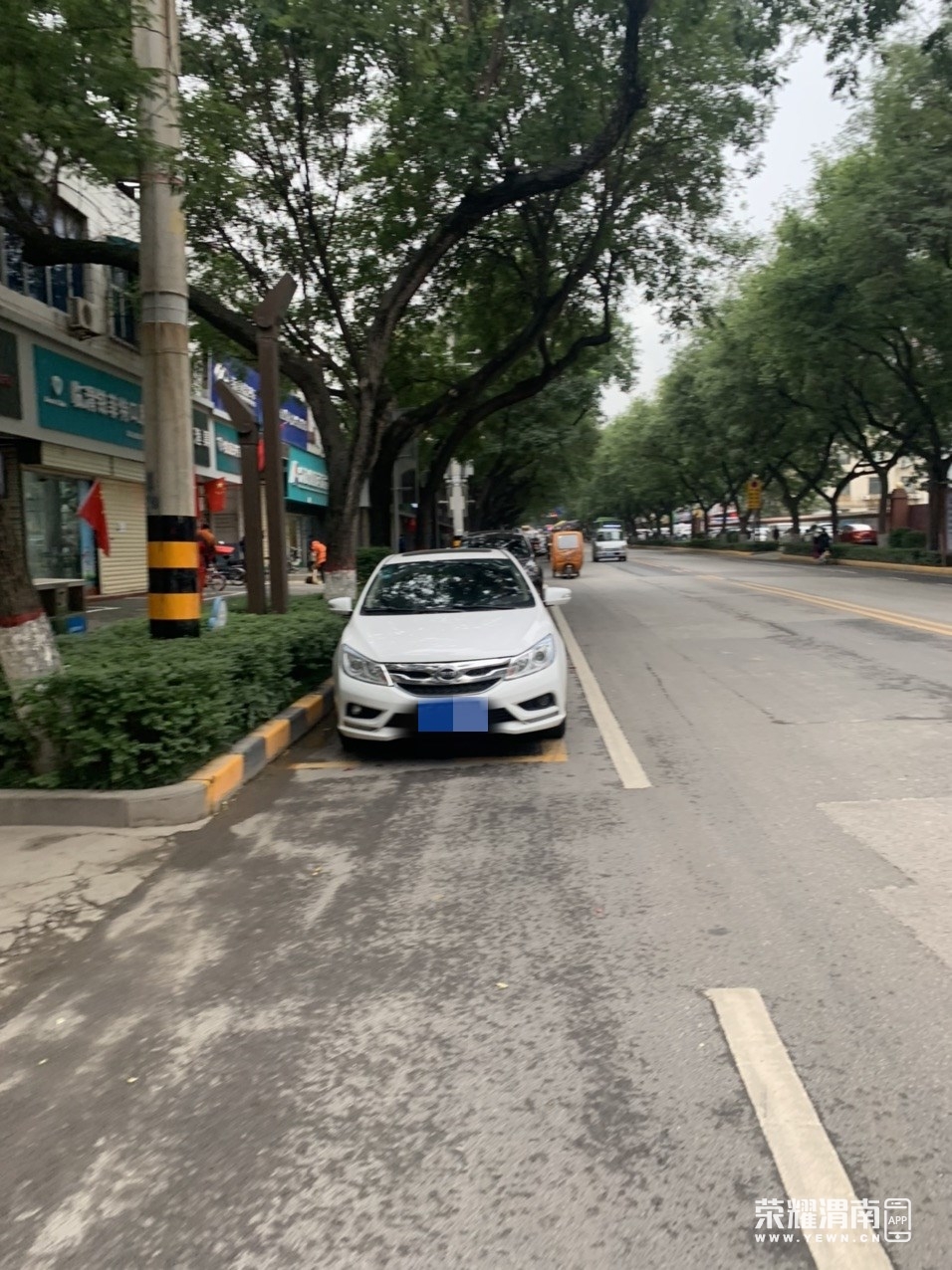141733unzl88f8cb4e8zln.jpg
