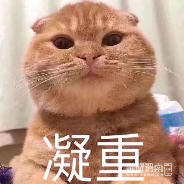 095950z37azyjjq7jux3jf.jpg