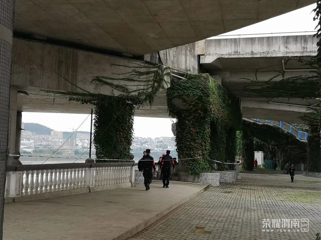 110742swg8vvubpcpn8jmm.jpg