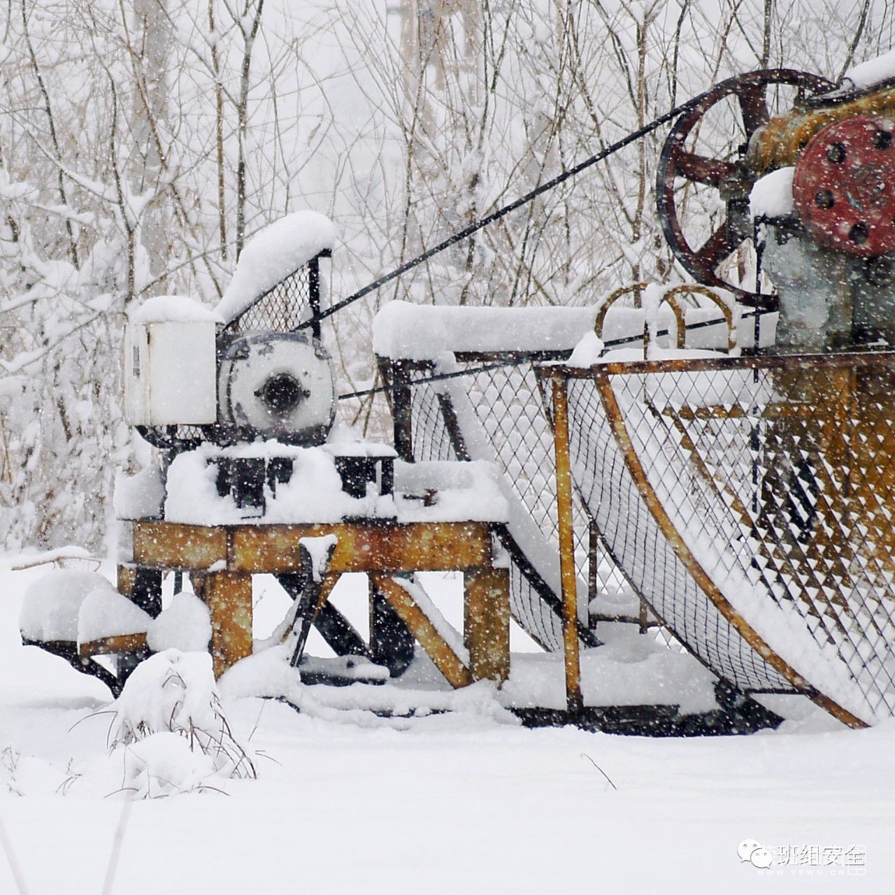 t01f126785225b51165.jpg