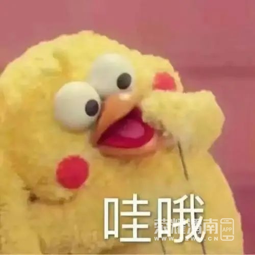 162900dnrxrx9uxfee0raj.jpg