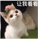 164803vdn0npusf2ffnbqq.jpg