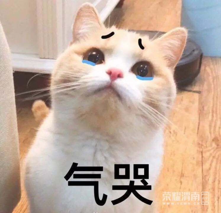 104026lukqxca9nulmuxux.jpg