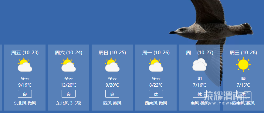 102210dy6yyaivzo3aawkg.jpg