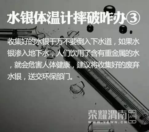 103152gmu3ouy89o1okbfu.jpg