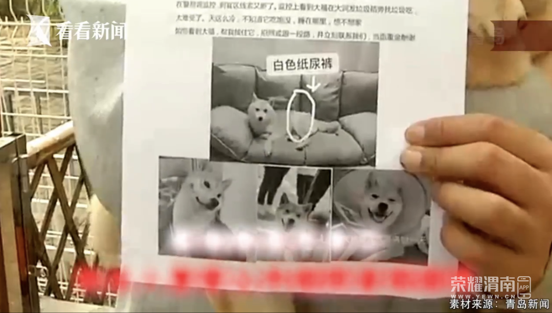 145918on1knb0nzz77ffnz.jpg