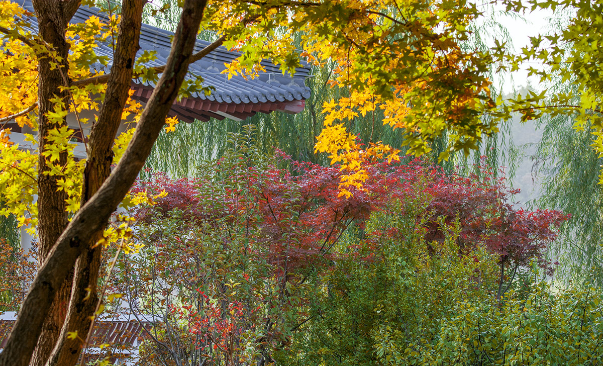 DSC_3297.jpg