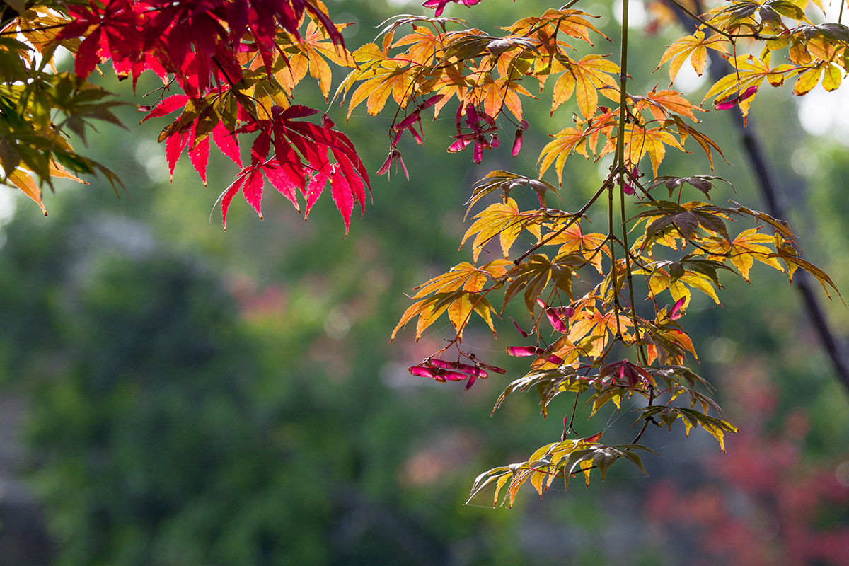 DSC_3317.jpg