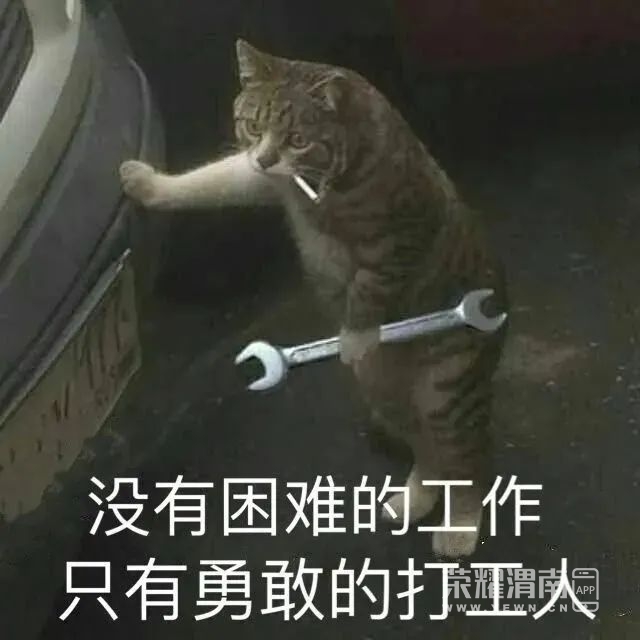 161549wd120kkb027dl2d6.jpg