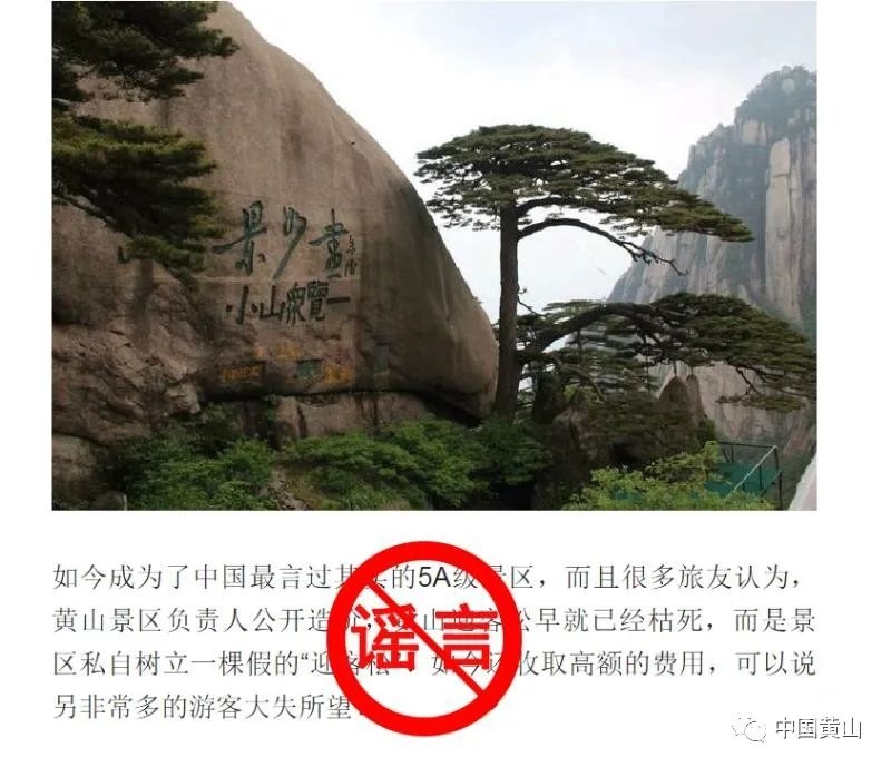 165708v5ztc56hkzuqknac.jpg