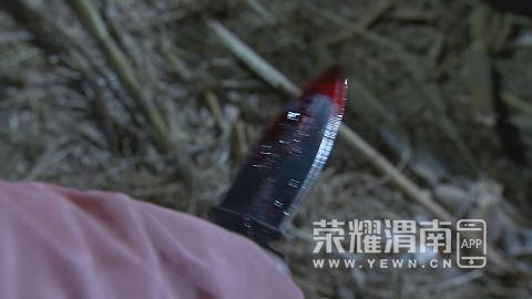 02.jpg