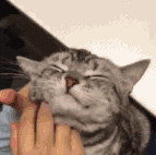 103642lxgggn8wlilhlqcx.jpg