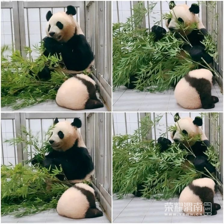 143421seez56i9pnn3ec0n.jpg