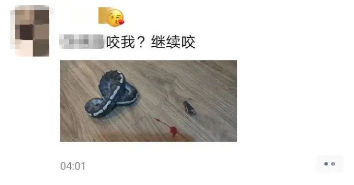 102335rwzu469li6odln6l.jpg
