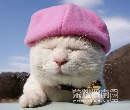 112152hqzqdggjsbghrdqx.jpg