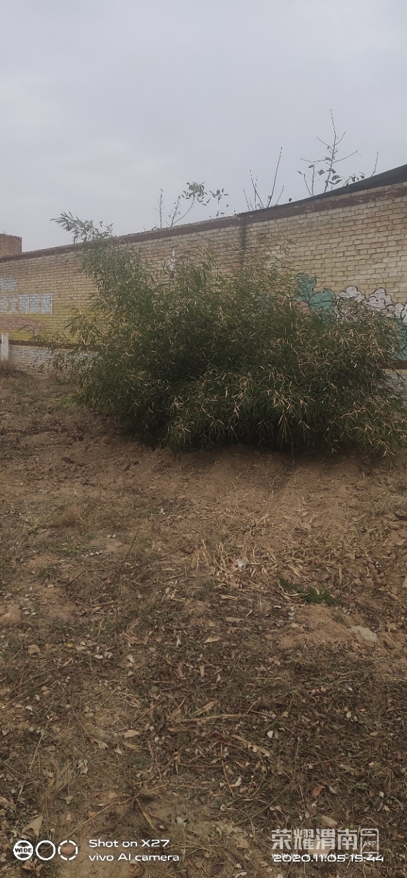 front2_0_FgIsggHg4XFKe7QyvbnaIiVLu0MX.1604569010.jpg
