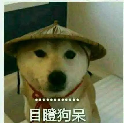 142716zt1xvk4ahlm1lhvi.jpg