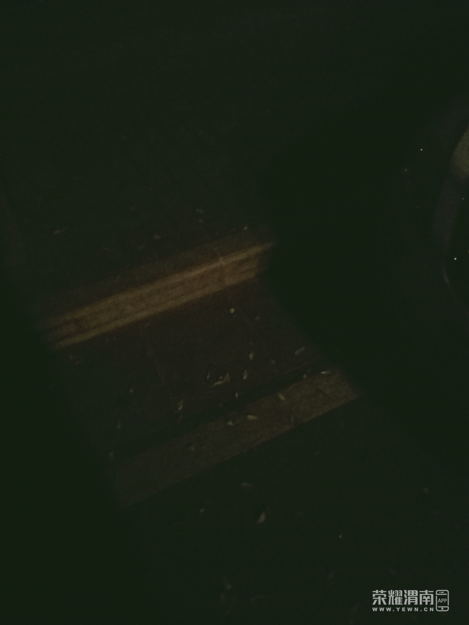 front2_0_FukXwaW-kNebKj_lsDZW6kThhhRN.1605186220.jpg