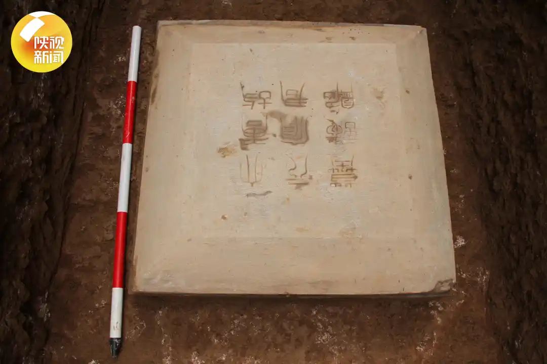 143528x01rssr3pzpa15rp.jpg
