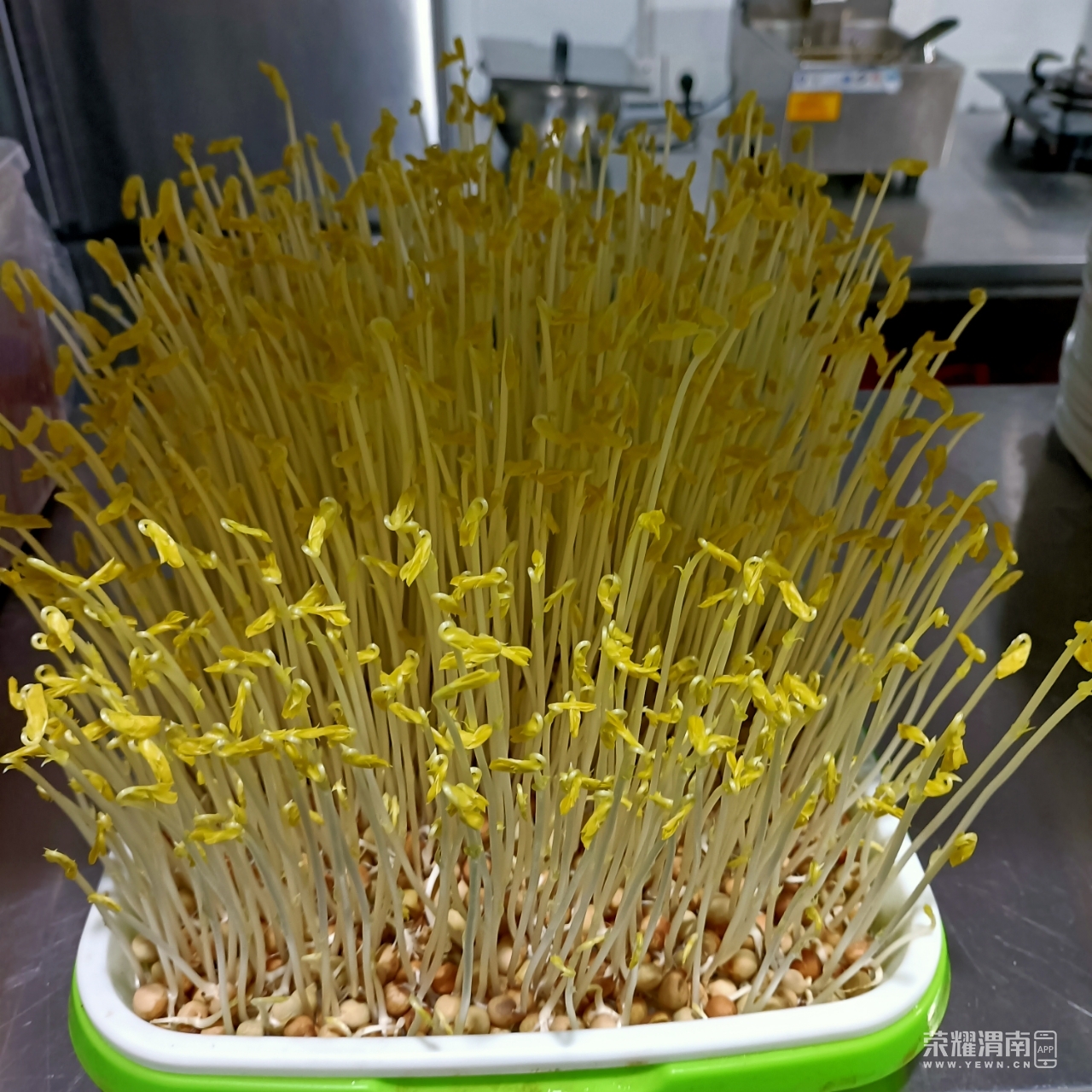front2_0_Fi9LqiX8BJptSvJfKaVqhoxdR6ly.1605505042.jpg
