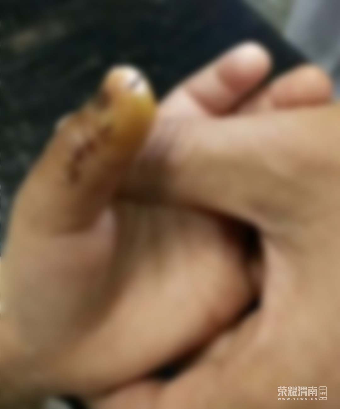 112126upmpd0mgmclfkb1d.jpg