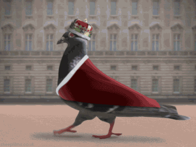 173524dckxdnkkhnugh3gc.jpg