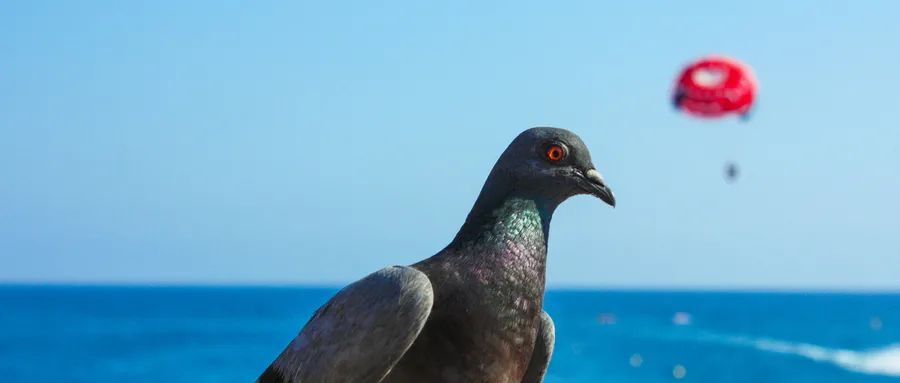 173525bxxxtxpjbcxzqomq.jpg