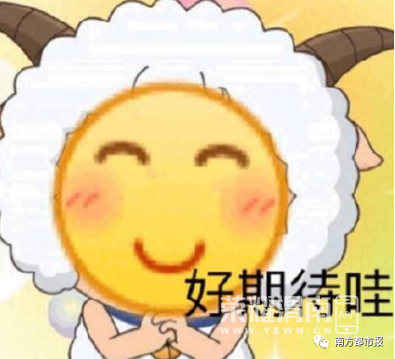 090501wtyvms481h11fvqm.jpg