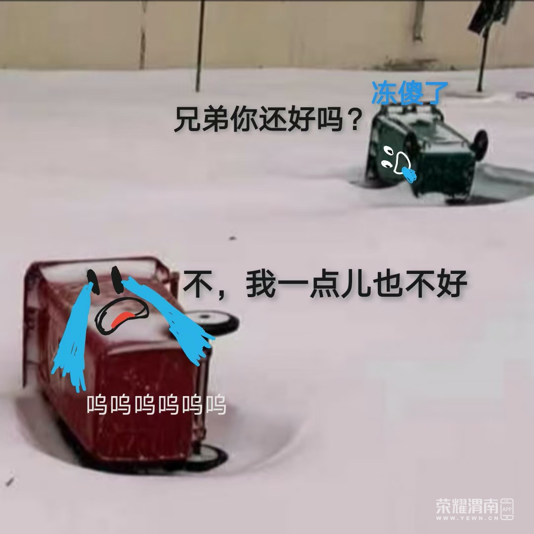 172955yf5h1dqol2qm45qw.jpg