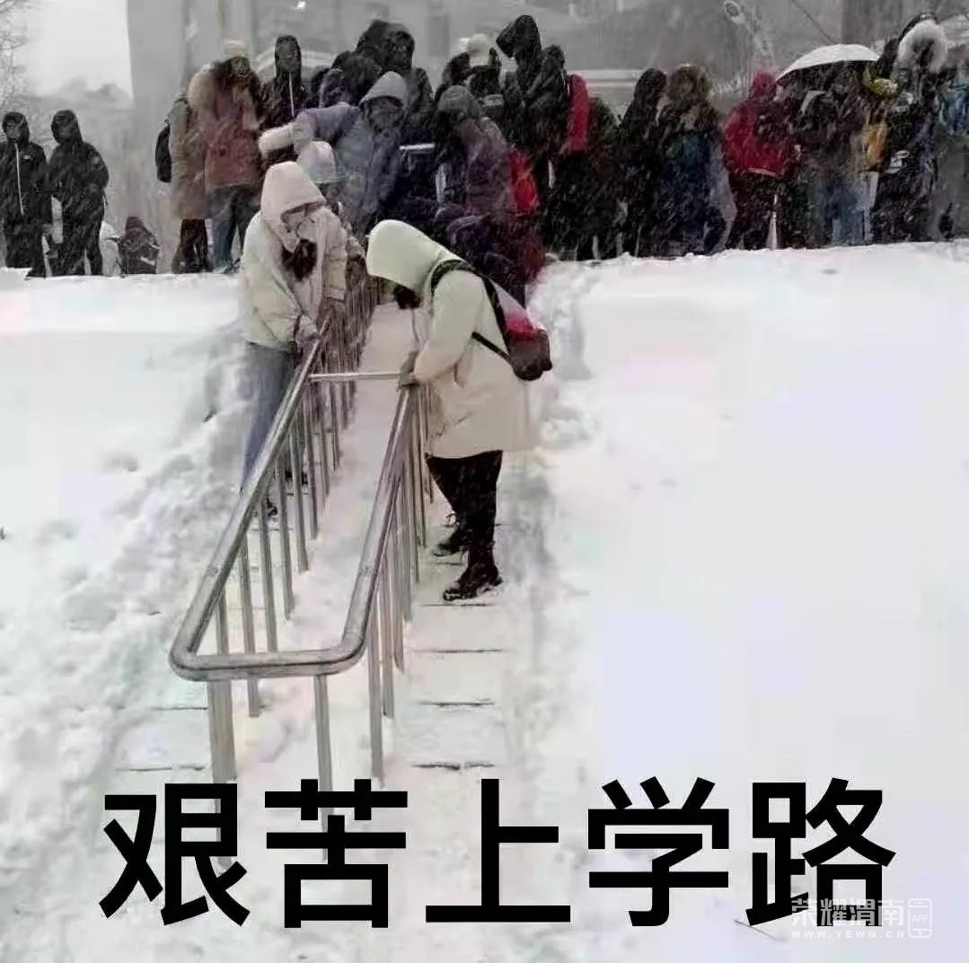 172956m0ro4w2j4ojnzrrb.jpg