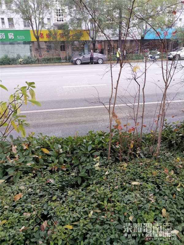 111857zw5zaqknkxiwxuxi.jpg