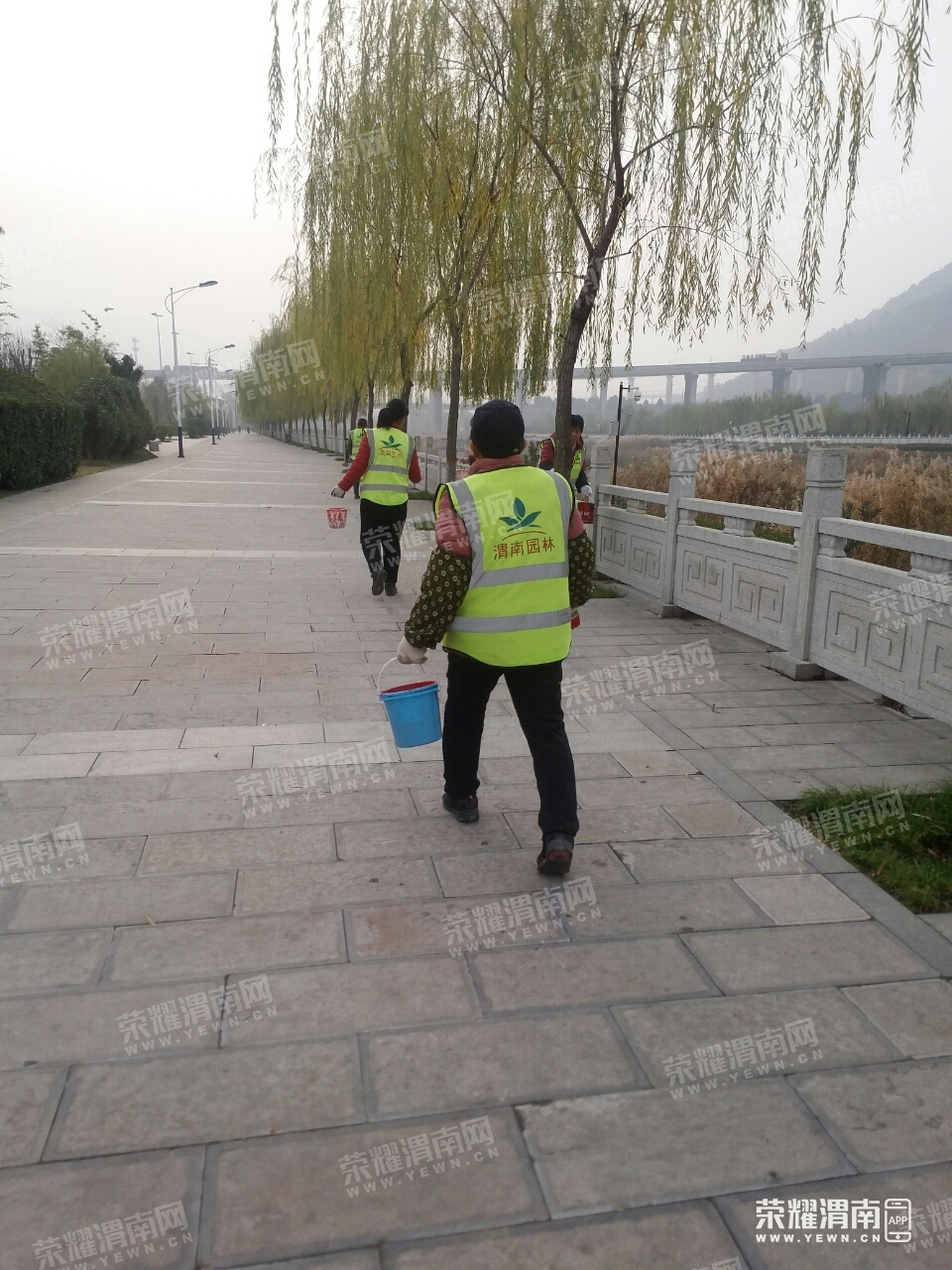 101519fwckjyh3qwdwyy8a.jpg