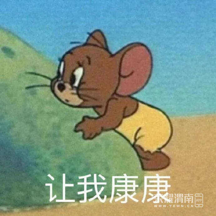 145900ro7rw7wpo7jmrj1z.jpg