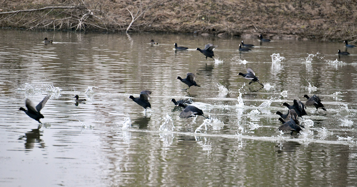 DSC_1020.jpg