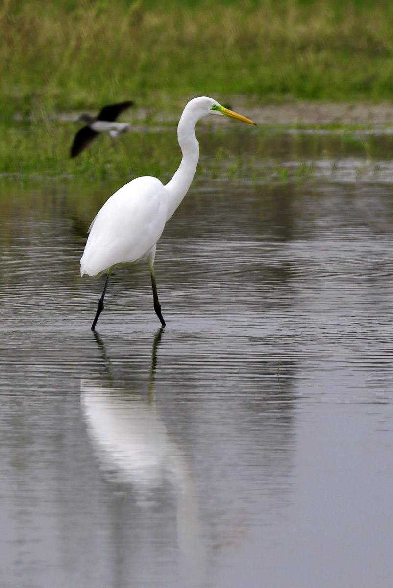 DSC_1112.jpg