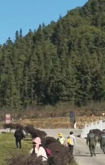 101750nwuobp4yywvzicc4.jpg