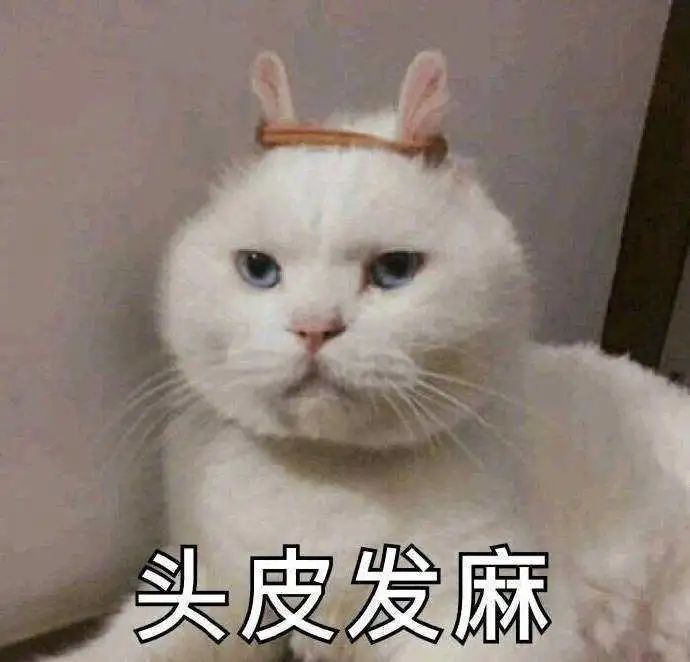 102046ha0mbil8oqbr5w1o.jpg