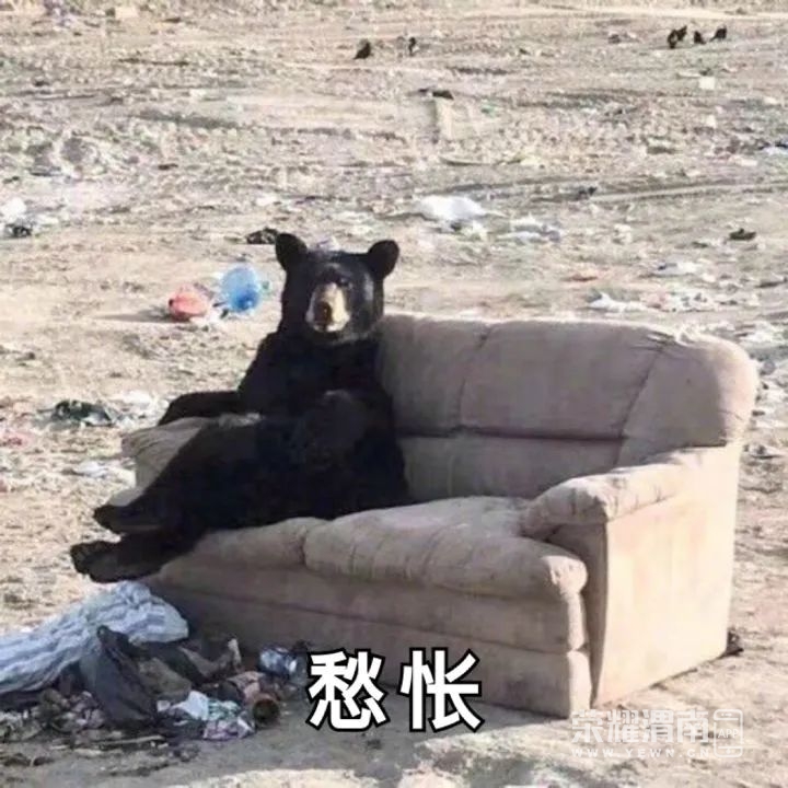 102054dbklsucdbdaks41s.jpg