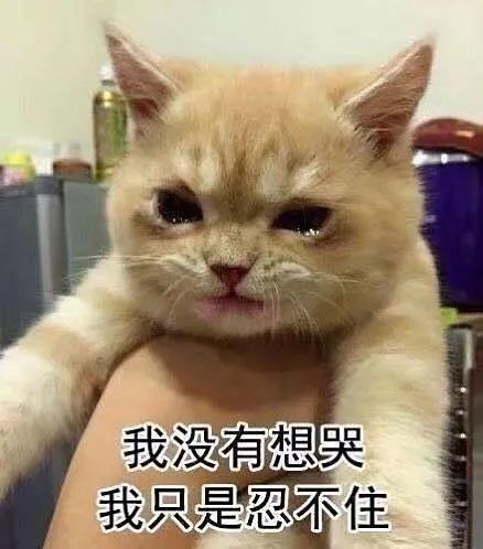 102705lvljlkm3og0z3si2.jpg