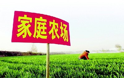 t018ad043f6bf6b6774.jpg