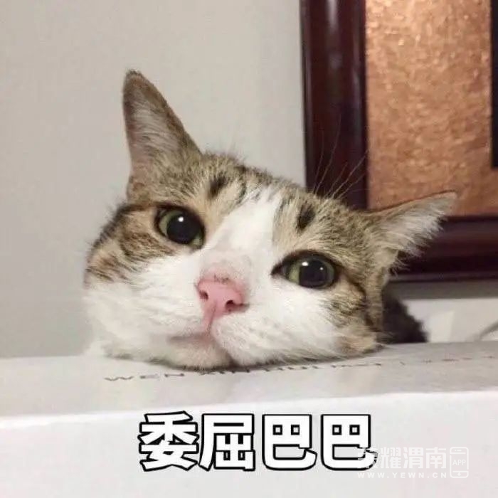 091842lep60le0k55k00z8.jpg