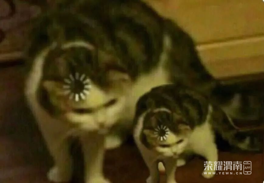 114539iaqss4be7oooqvsd.jpg