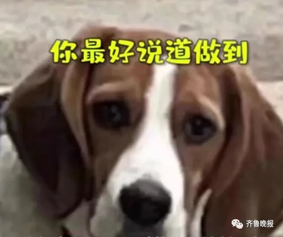 174016bfh3a2a2aailaxia.jpg